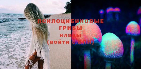 твердый Коряжма
