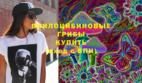твердый Коряжма