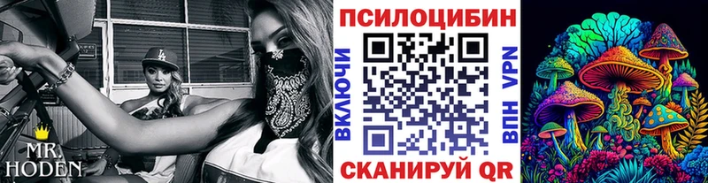 Псилоцибиновые грибы прущие грибы Купить Гай